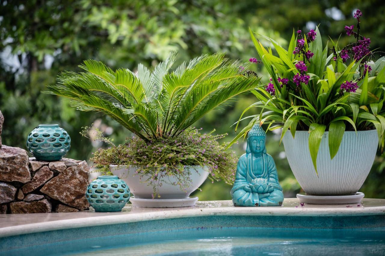 Anjali Casa Divina Hotel Sayulita Buitenkant foto