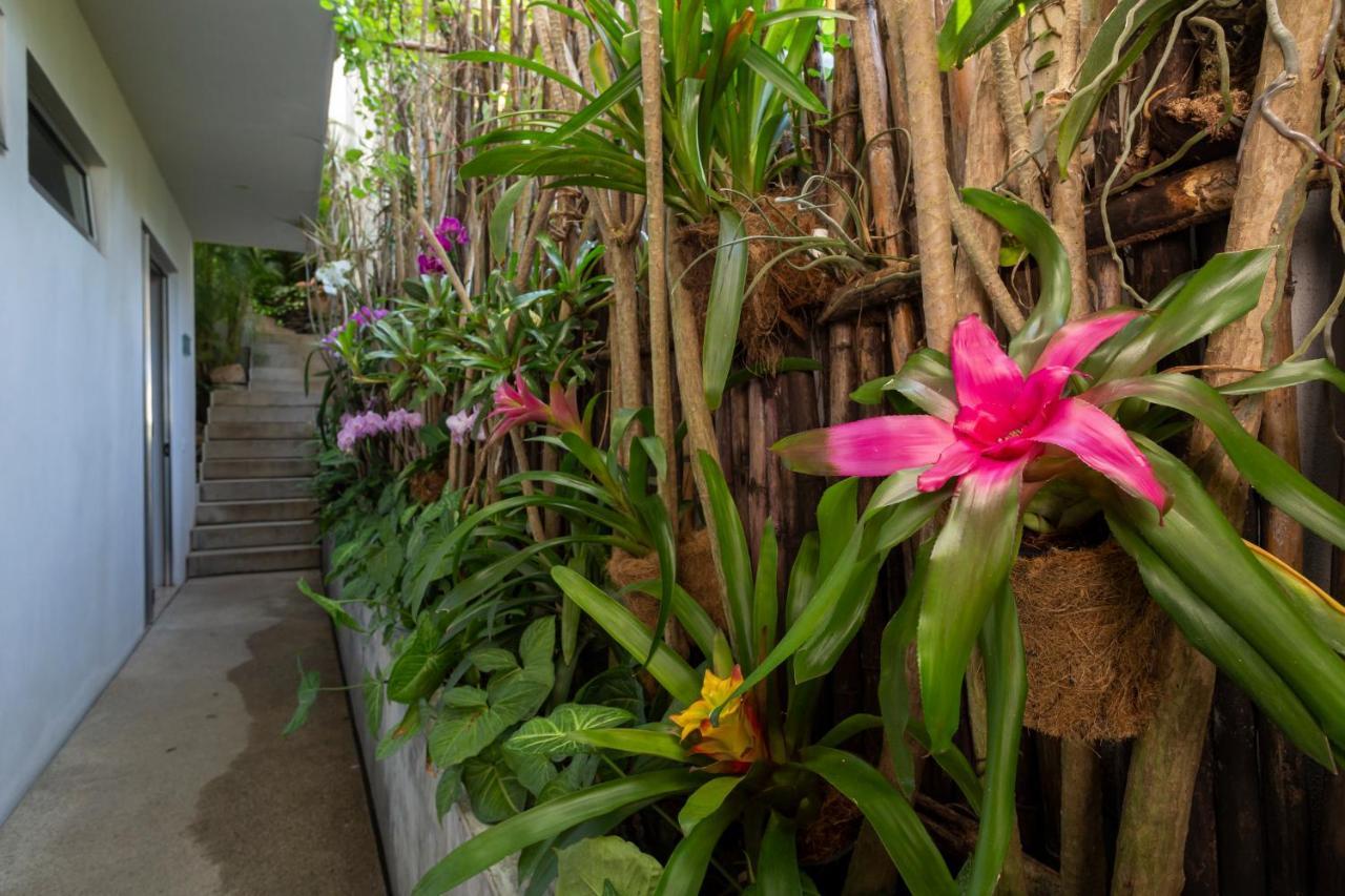 Anjali Casa Divina Hotel Sayulita Buitenkant foto