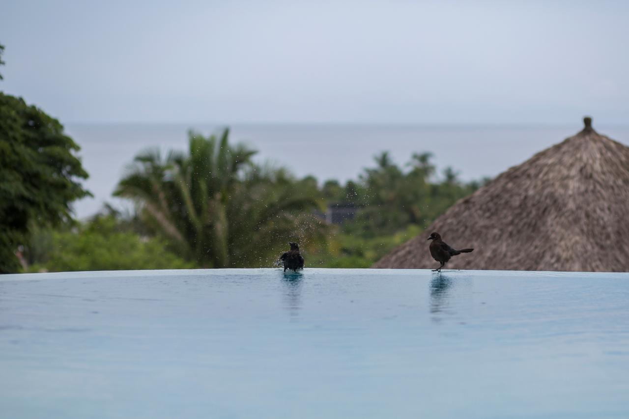 Anjali Casa Divina Hotel Sayulita Buitenkant foto
